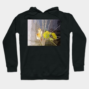 Autumn leaves Hoodie